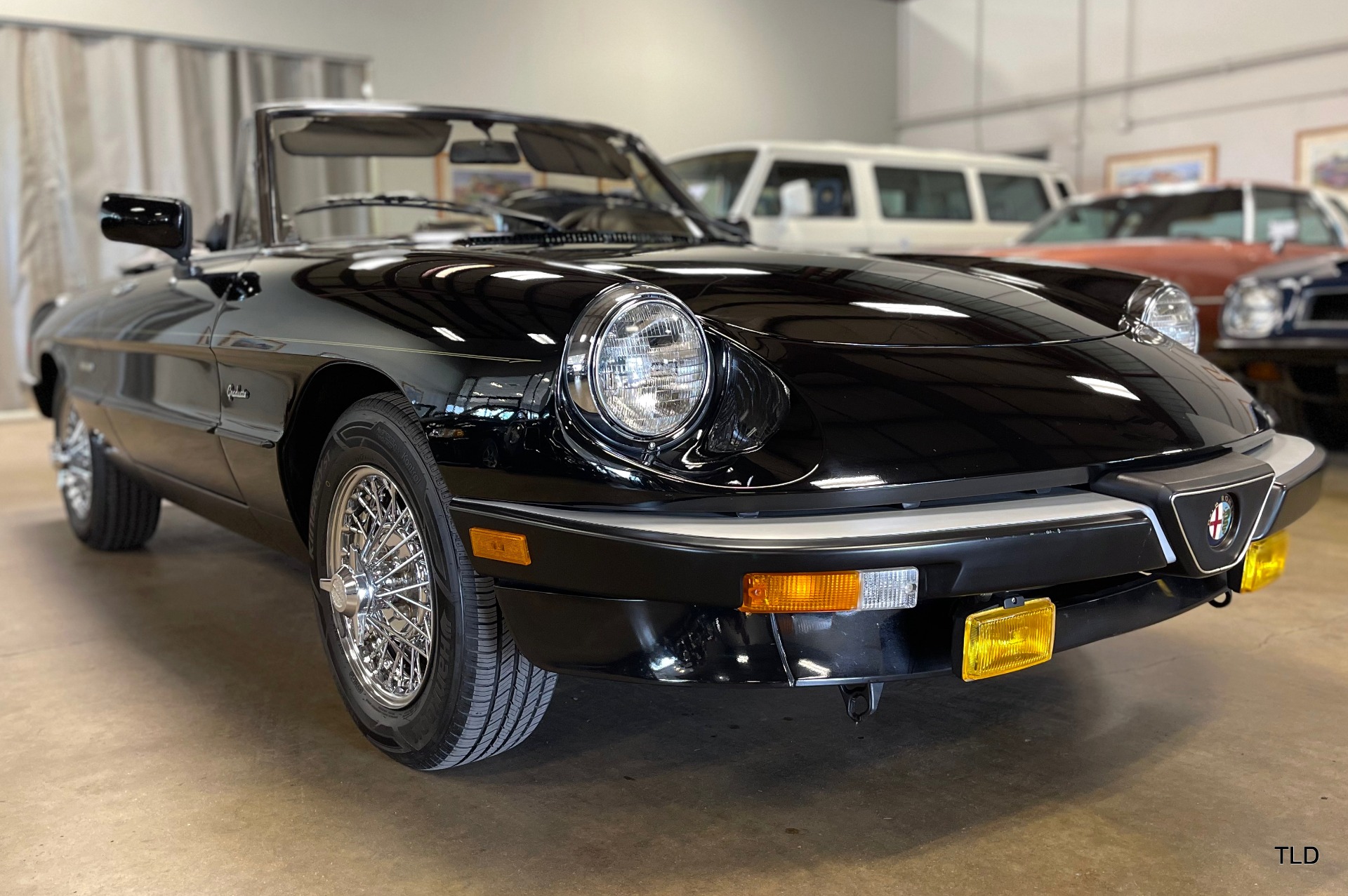 1989 Alfa Romeo Spider Graduate